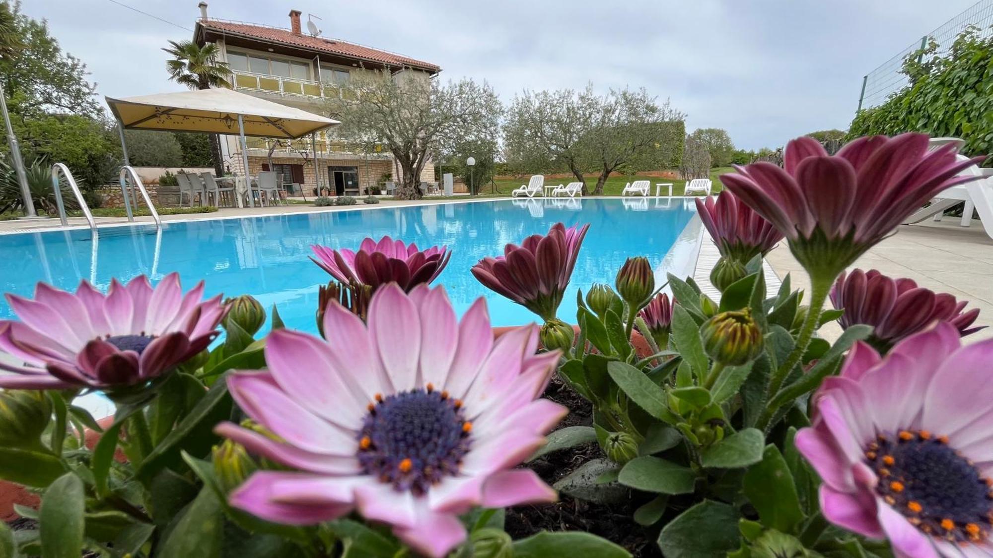 Bed and Breakfast Pansion Margerita Poreč Exteriér fotografie